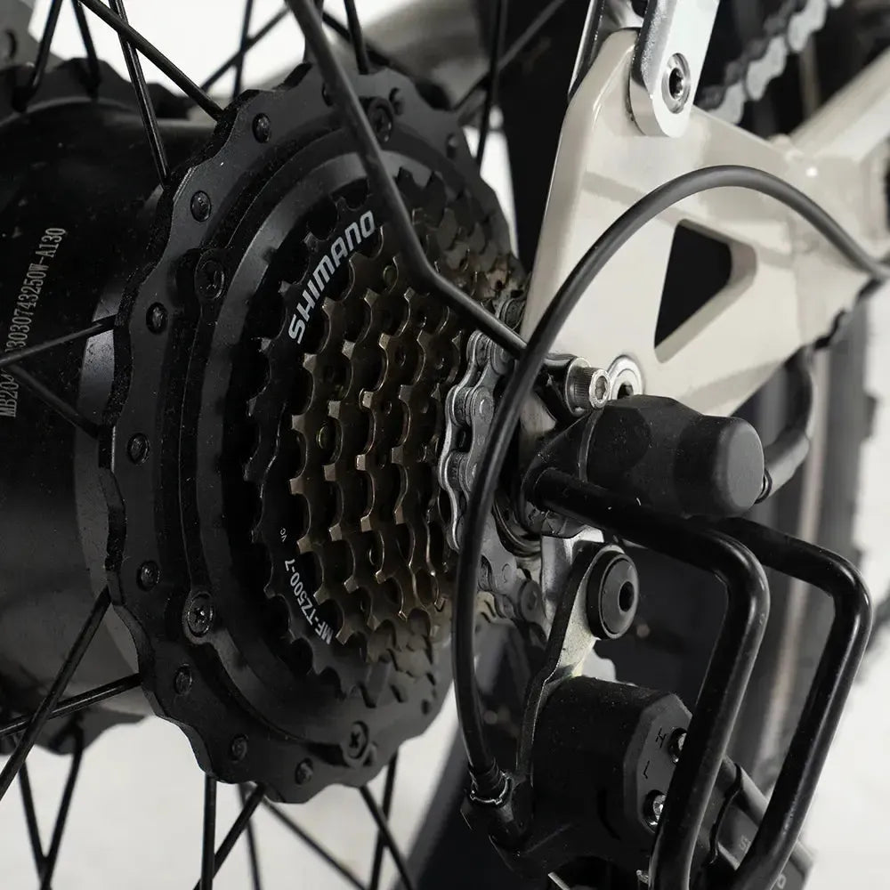 Diablo Zipper Fatbike - Grigio