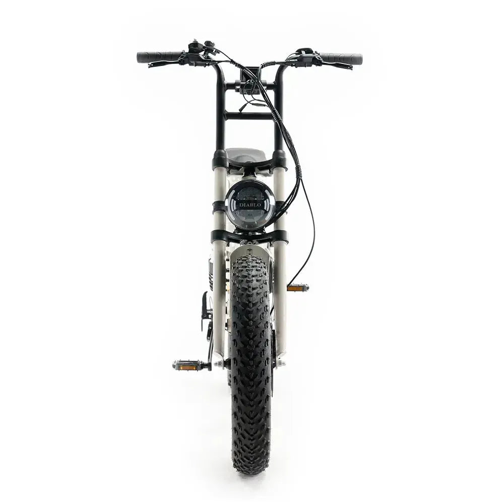 Diablo Zipper Fatbike - Grigio