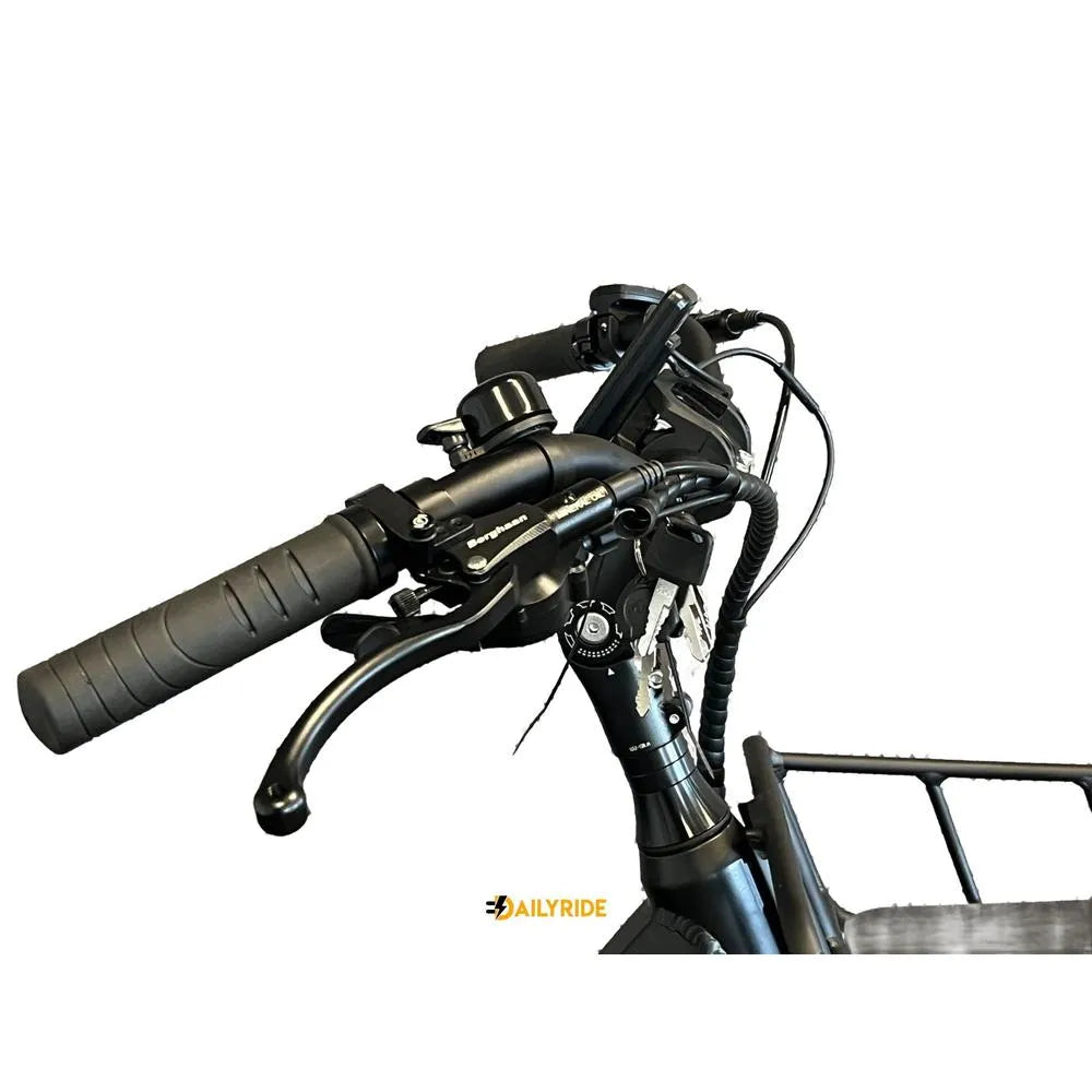 Diablo Big Foot triciclo - Bicicletta elettrica per persone con mobilità ridotta - Nero opaco