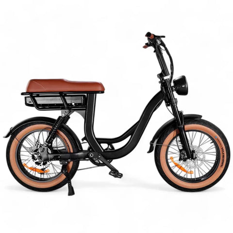 EB8 - Bicicletta grassa - Bruin