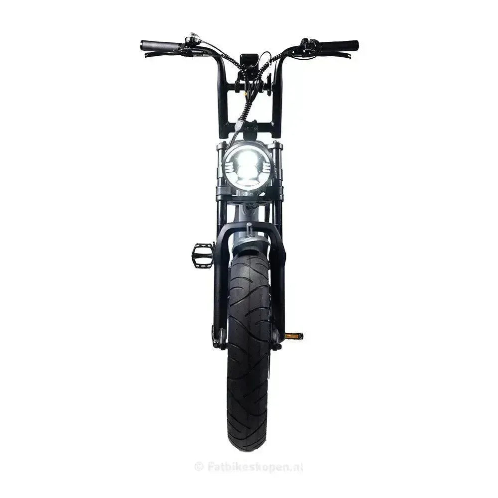 EB2 Fatbike Argento + allarme + poggiapiedi