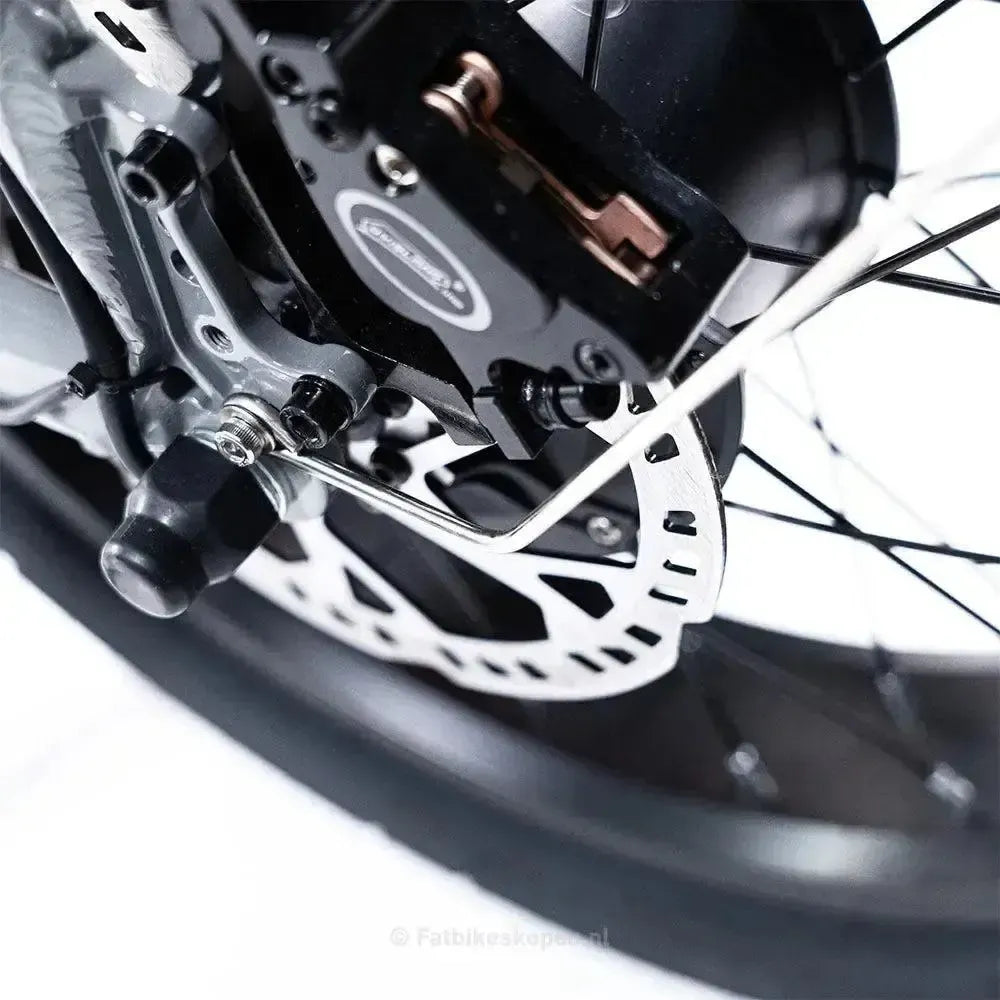 EB2 Fatbike Argento + allarme + poggiapiedi