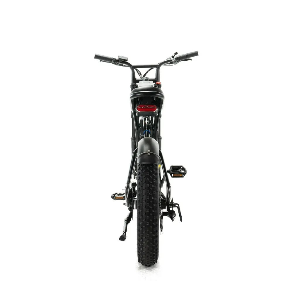 ENGWE M20 - Fatbike - Doppia batteria - Nero