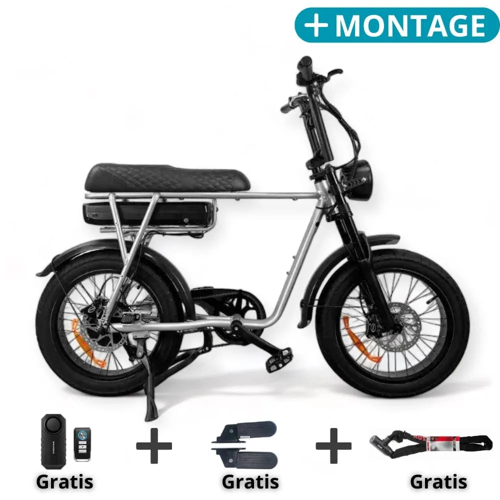 EB2 Bicicletta Grassa Argento + Allarme + Poggiapiedi