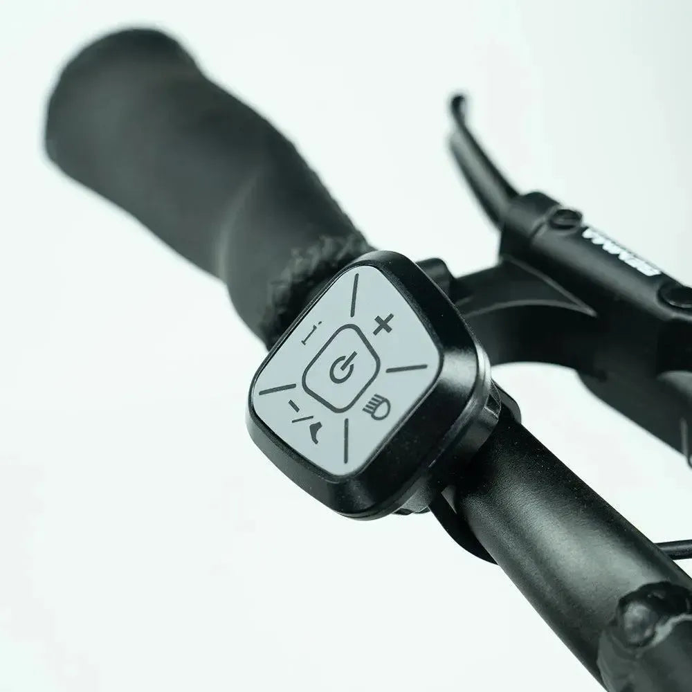 JOBOBIKE Transer - Longtail - Grigio Argento