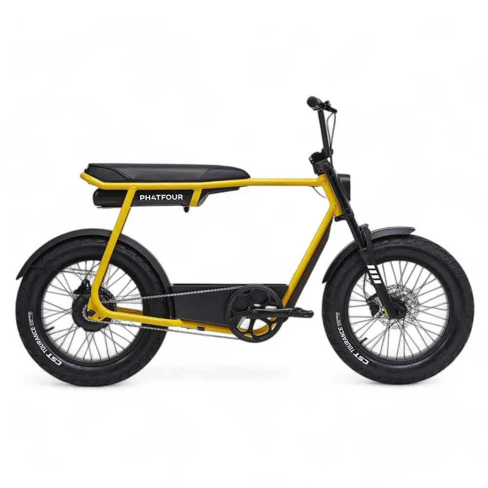 Phatfour FLX - Bicicletta grassa - Verde