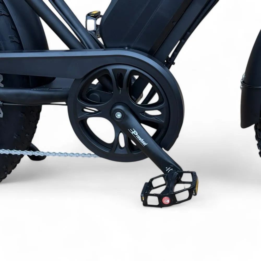 OUXI V8 Pro XL - Bicicletta grassa - 24X4.0 - Doppia batteria