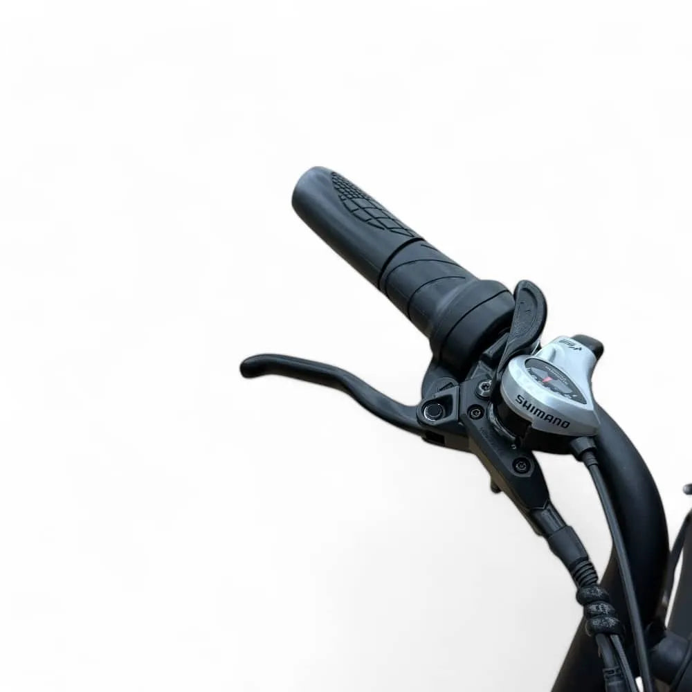 V20 Pro 4.0 2025 (Offerta Combinata) + Sistema di Allarme + Seggiolino Posteriore + Poggiapiedi + Manopola del Gas