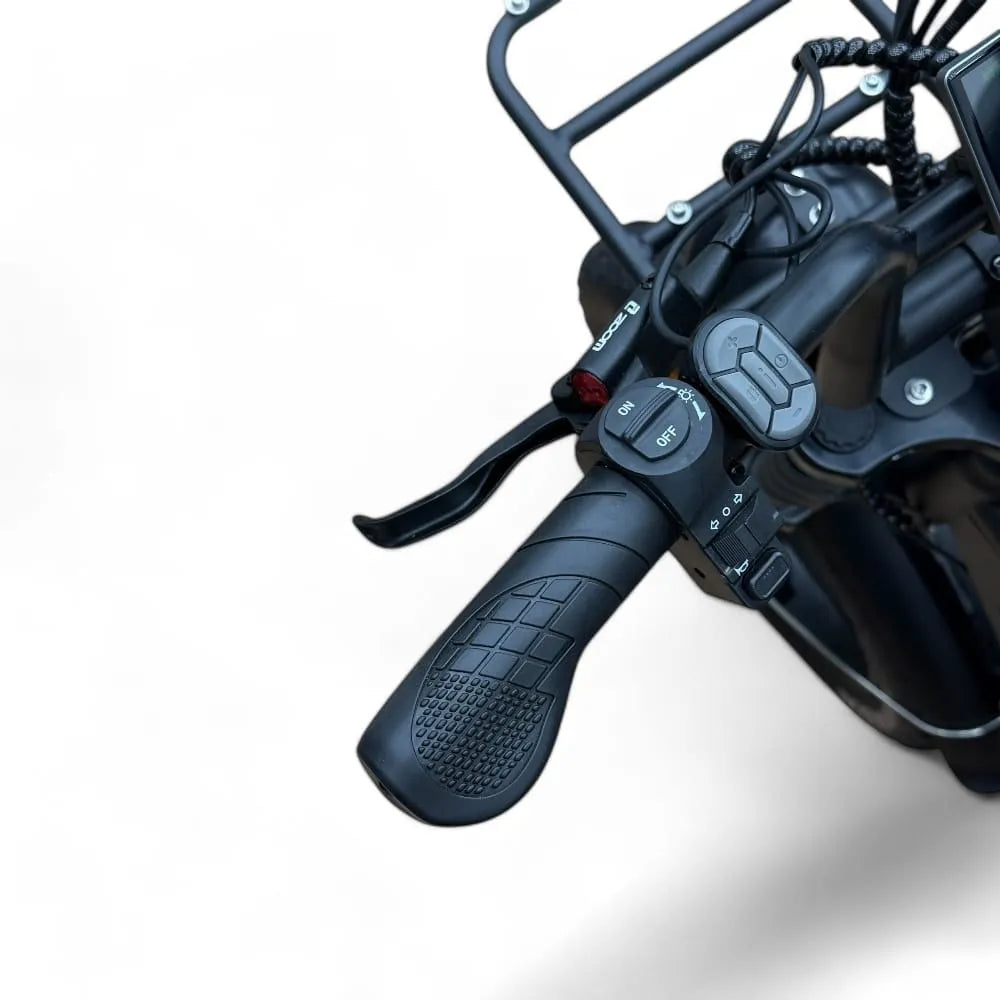 OUXI V8 Pro XL - Bicicletta grassa - 24X4.0 - Doppia batteria