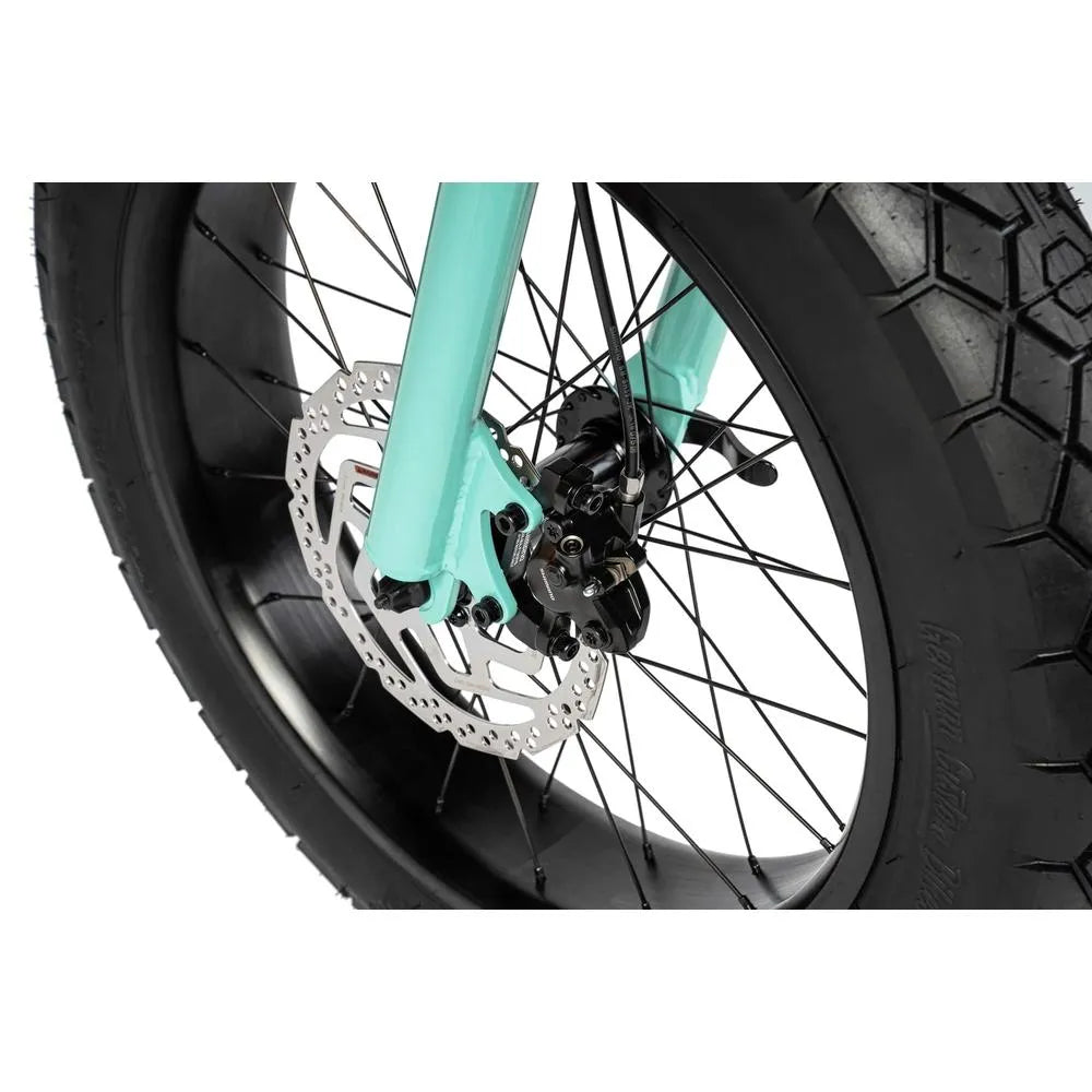 Ruff Cycles - Lil'Missy - Bicicletta Grassa - Holly