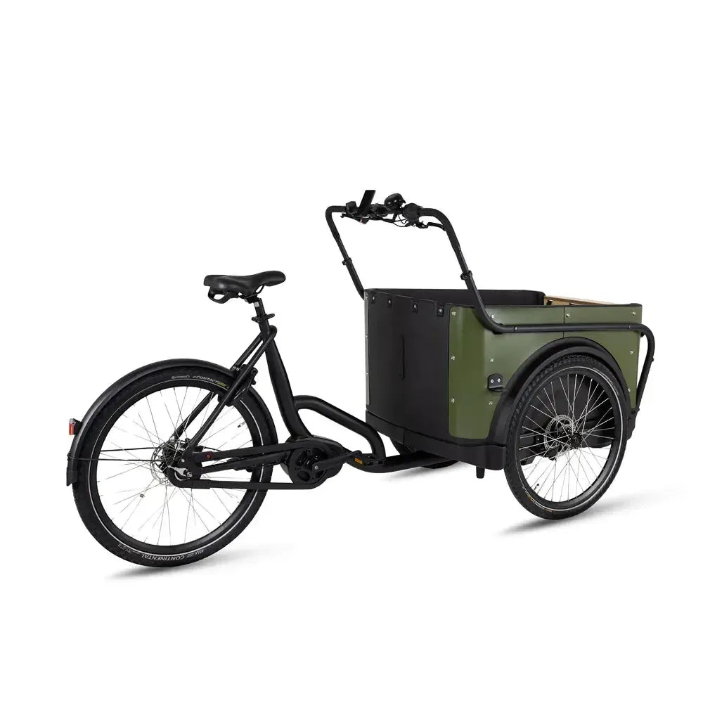 Royal Cargo Bike 3W Premium - Verde