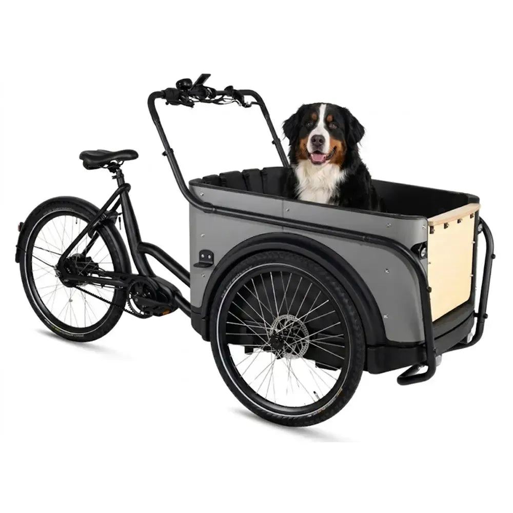 Royal Cargo Bike 3W Premium Plus - Taupe grigio