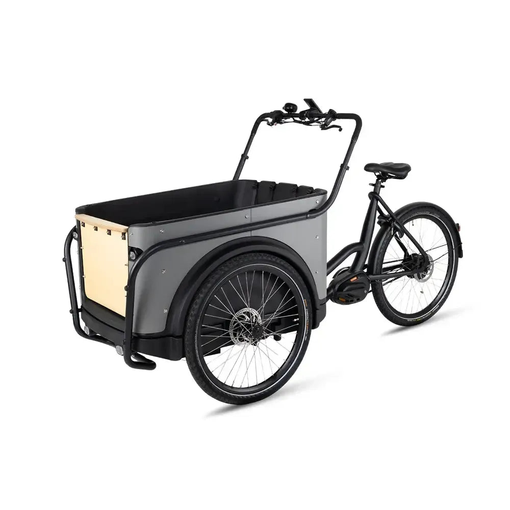 Royal Cargo Bike 3W Premium Plus - Taupe grigio