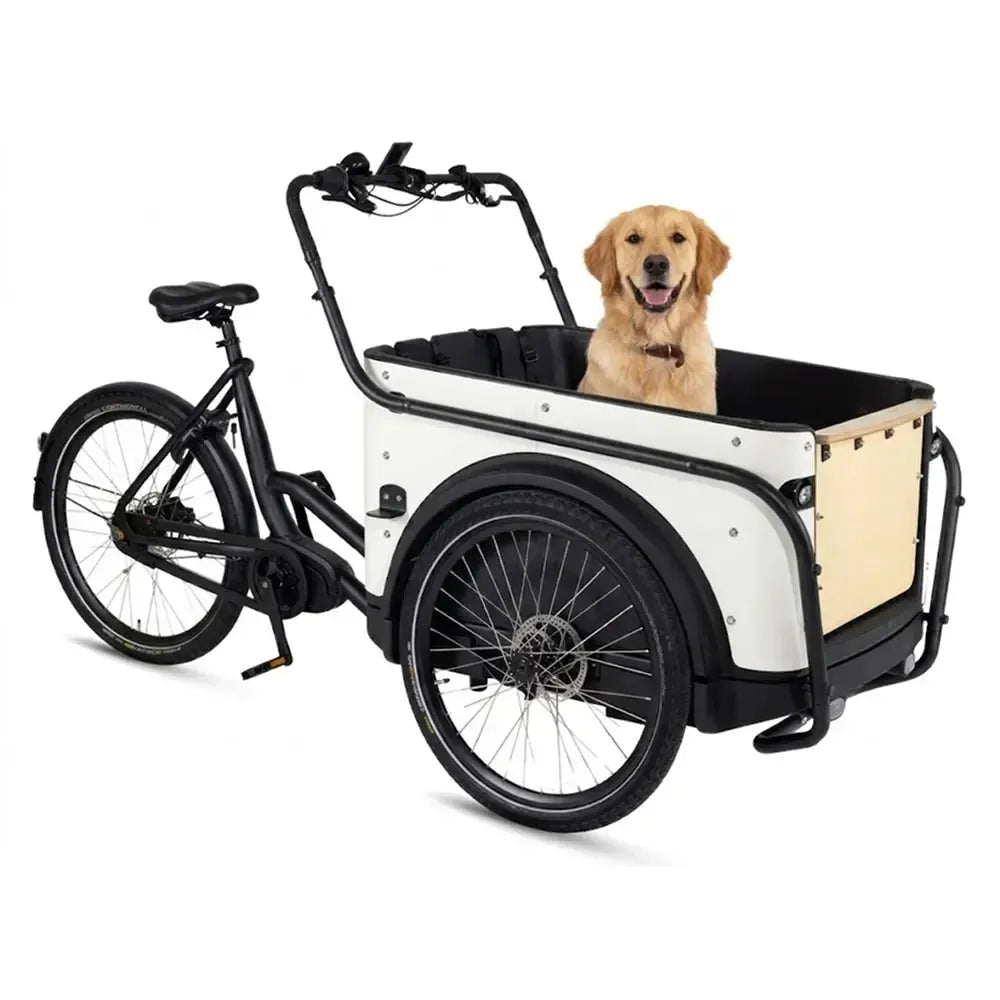 Royal Cargo Bike 3W Premium - Bianco