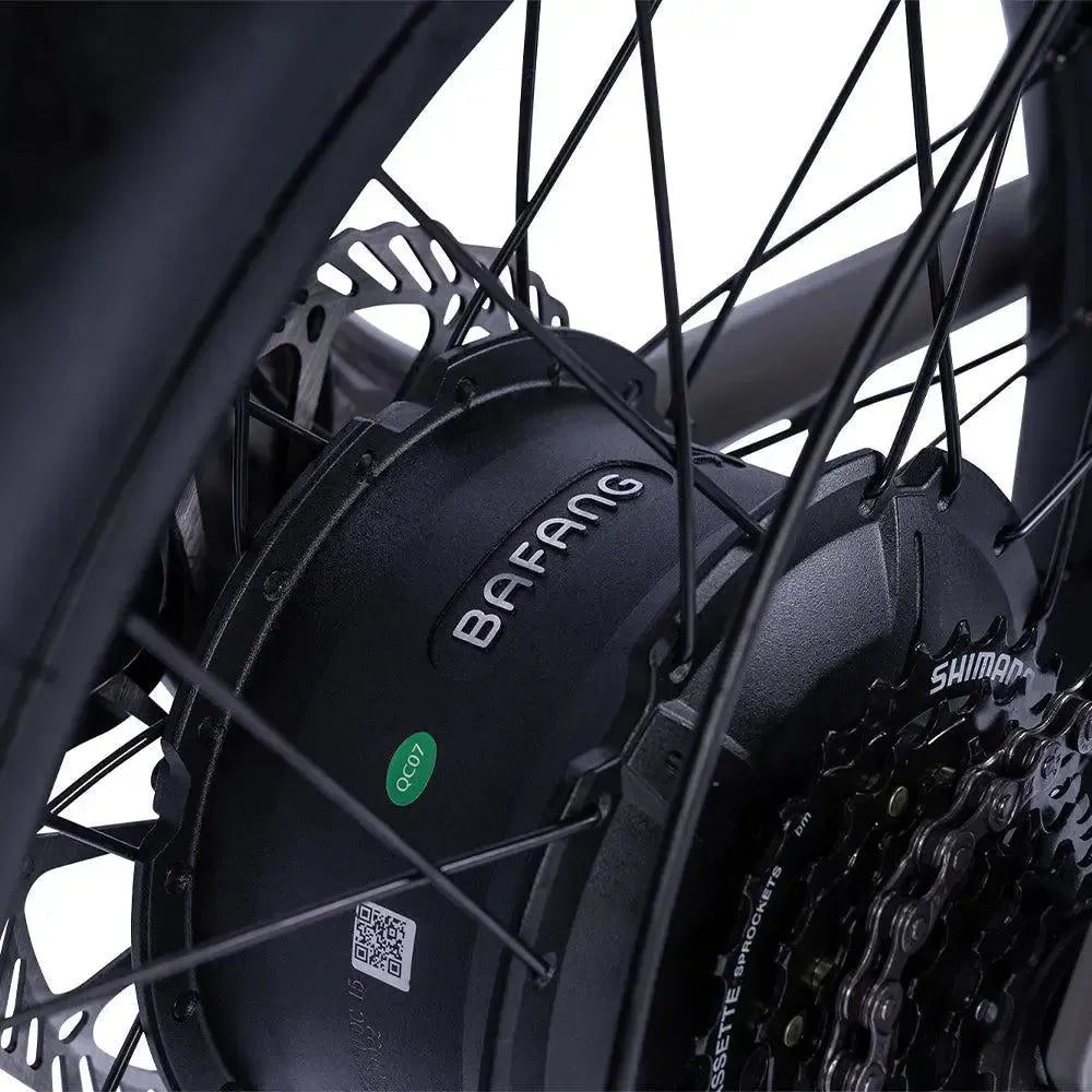 Ruff Cycles - Lil' Budddy - Edge - Fatbike - Grigio