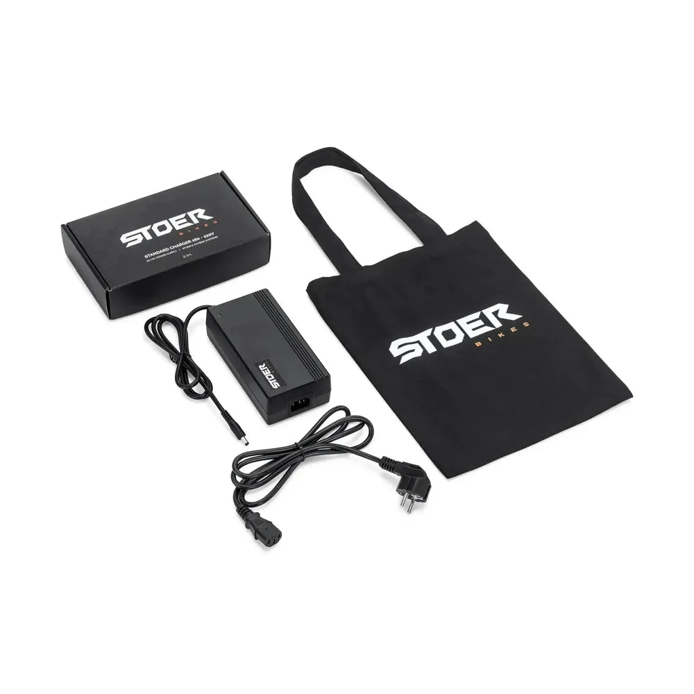 STOER Bikes Urban X - Fatbike - Grigio