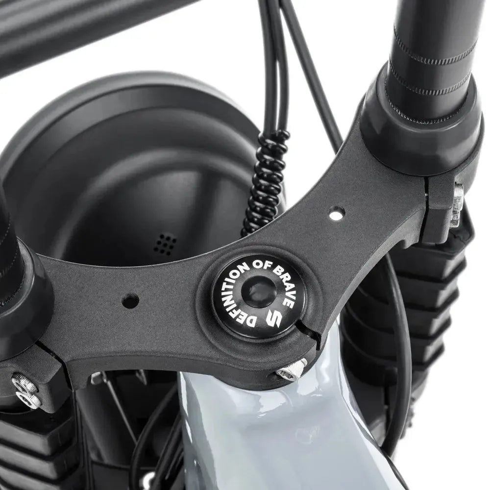 STOER Bikes Urban X - Fatbike - Grigio