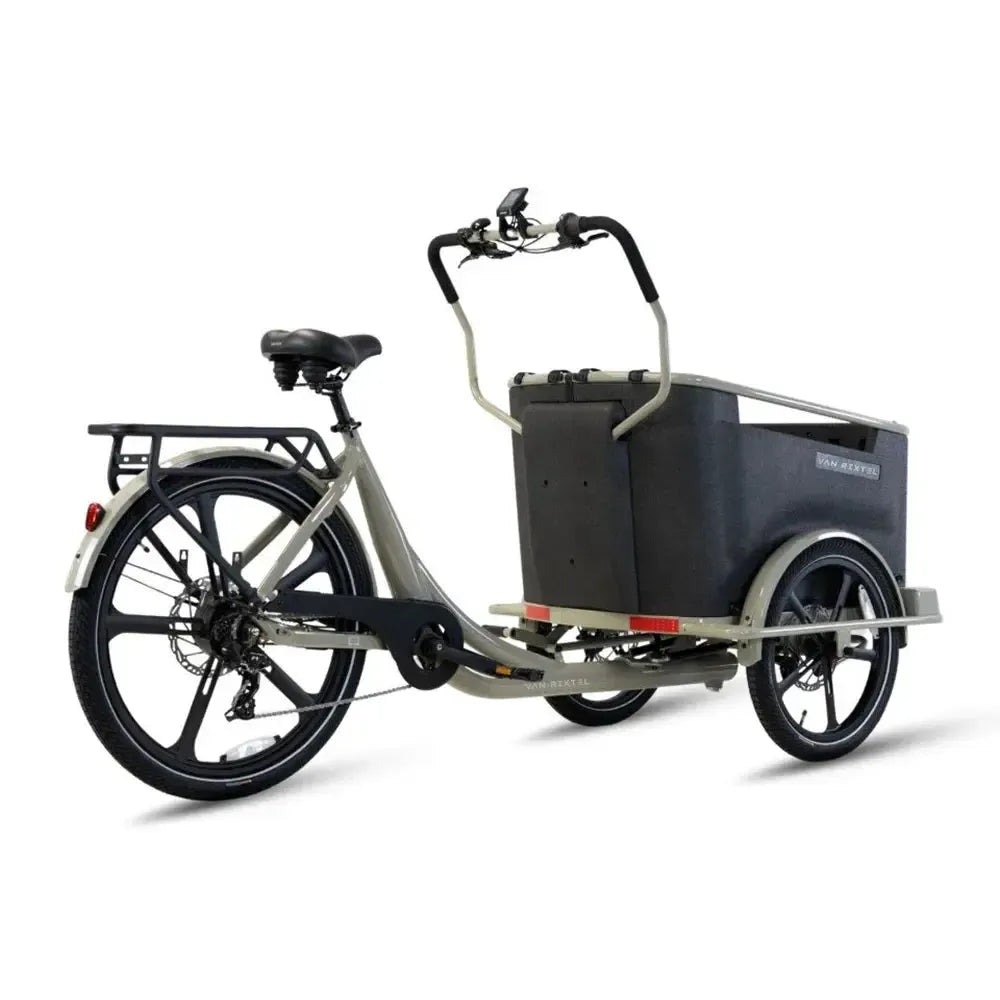 Van Rixtel Dog - Sabbia del deserto