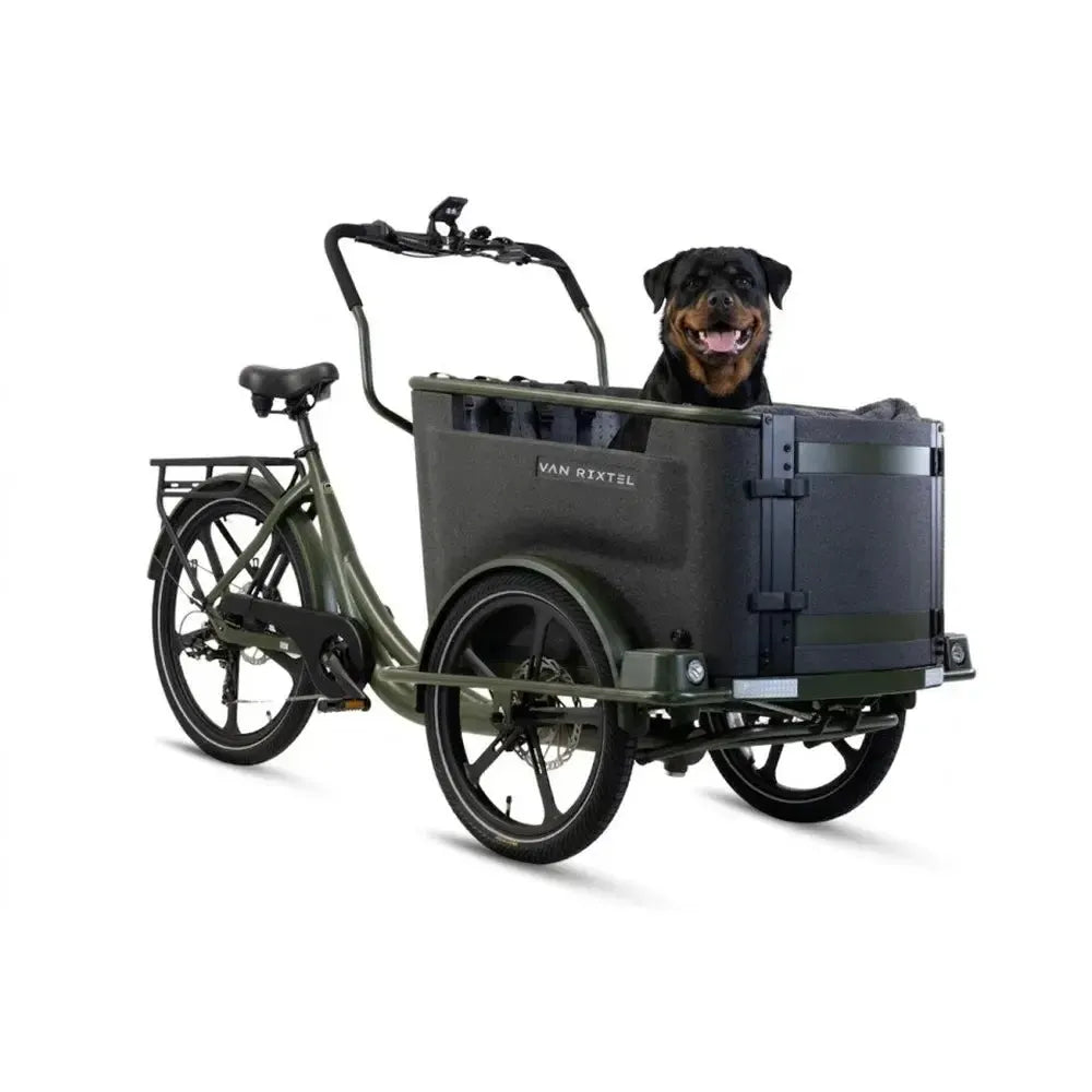 Van Rixtel Dog - Verde oliva
