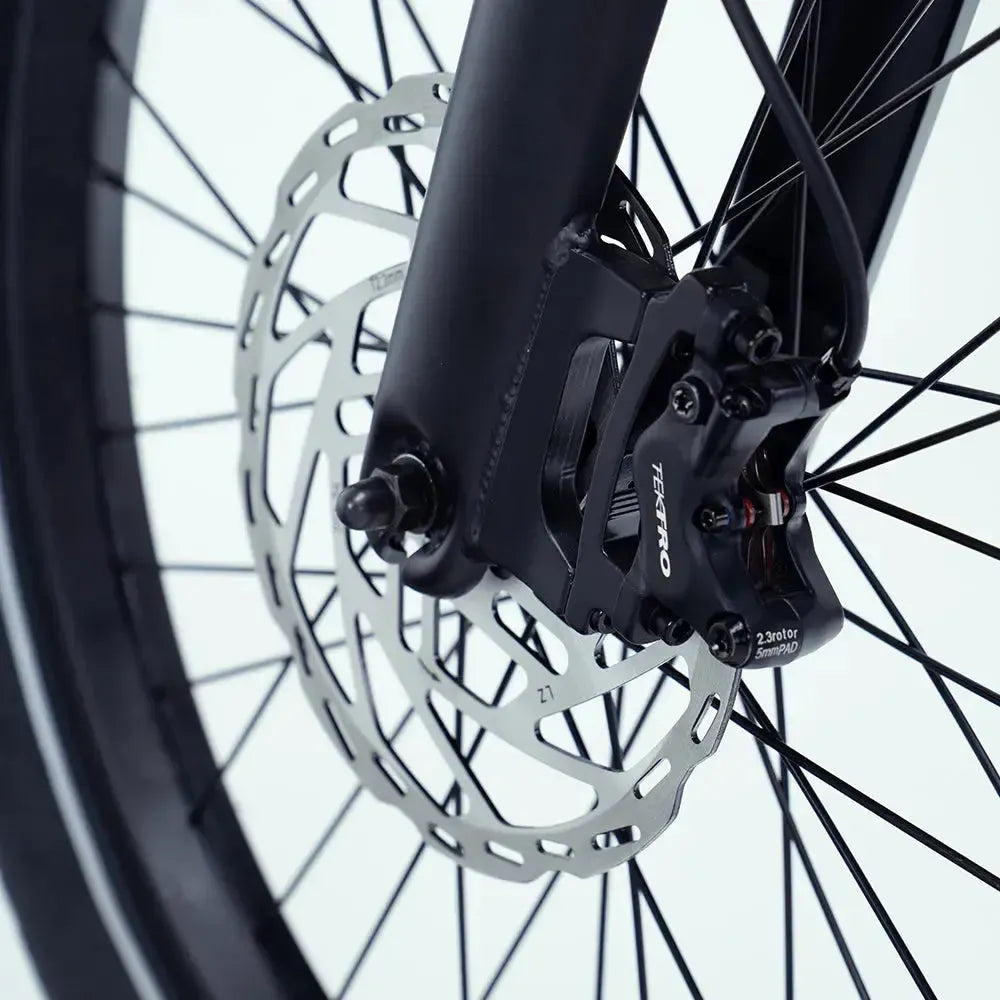 Vogue Wonder - Longtail - Blu