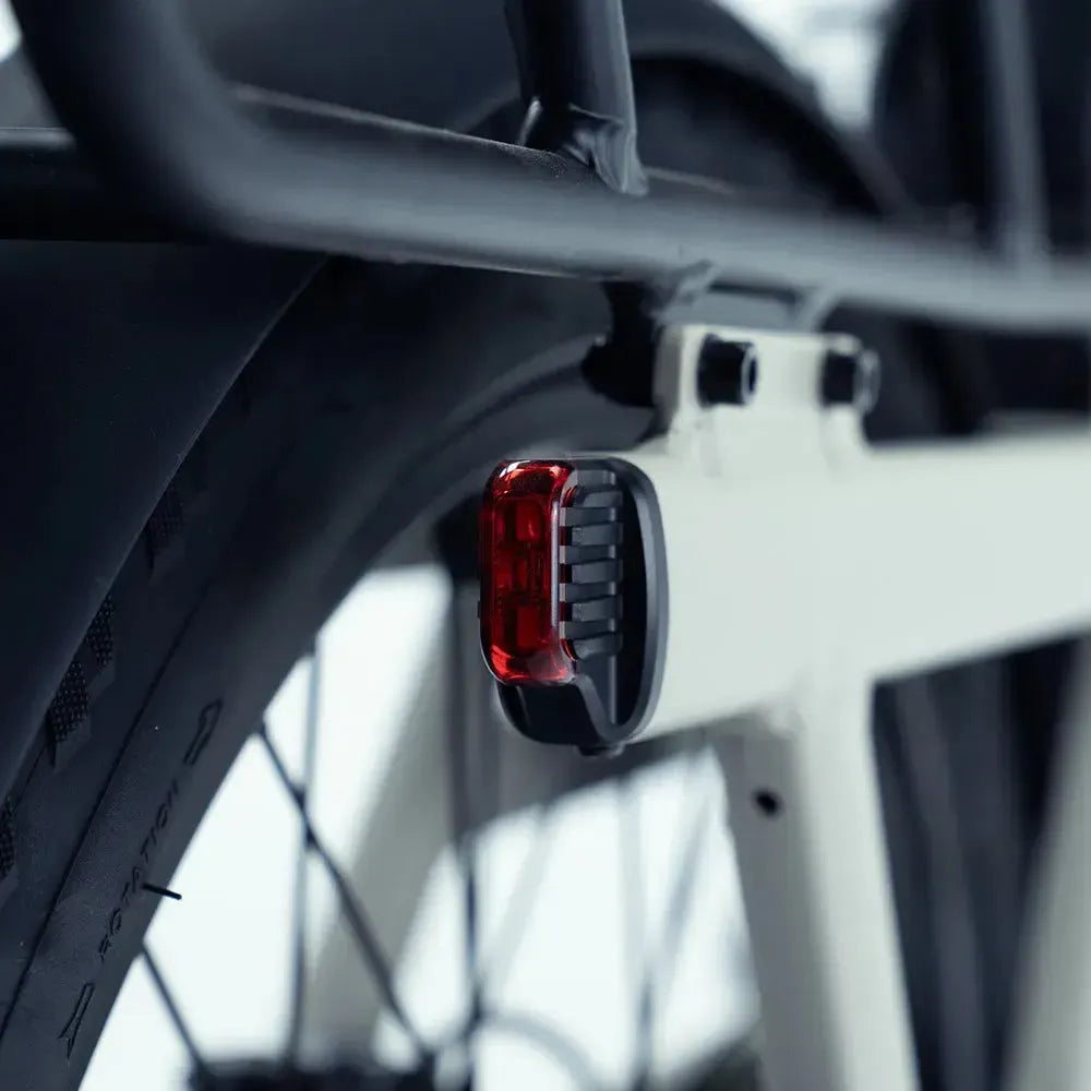 Vogue Wonder - Longtail - Grigio