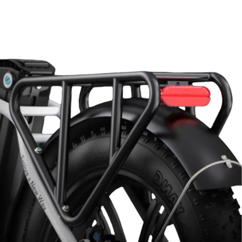 Engwe L20 - Bicicletta grassa - Nero