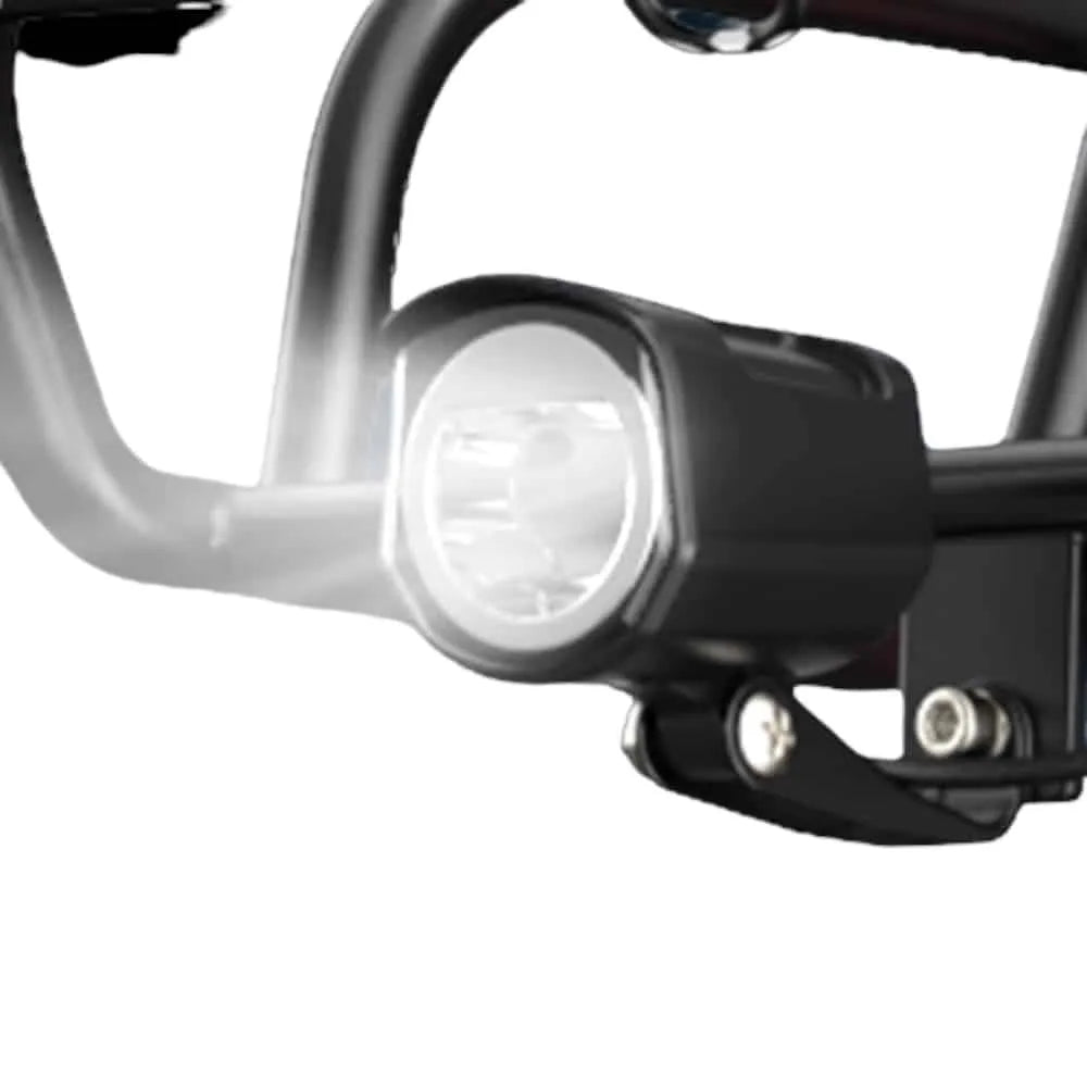 Engwe L20 - Bicicletta grassa - Nero