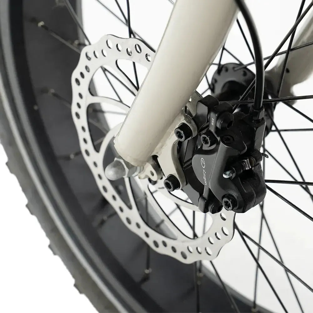 Diablo Zipper Fatbike - Grigio