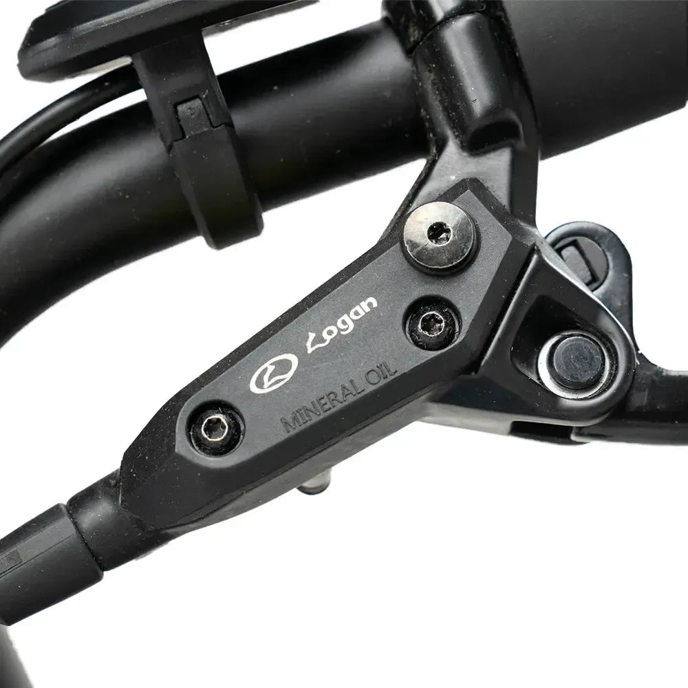 Diablo Zipper Fatbike - Grigio