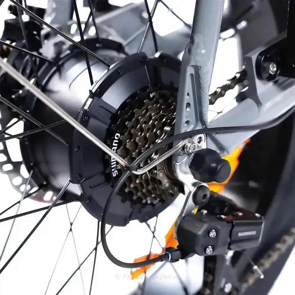 EB2 Fatbike Argento + allarme + poggiapiedi