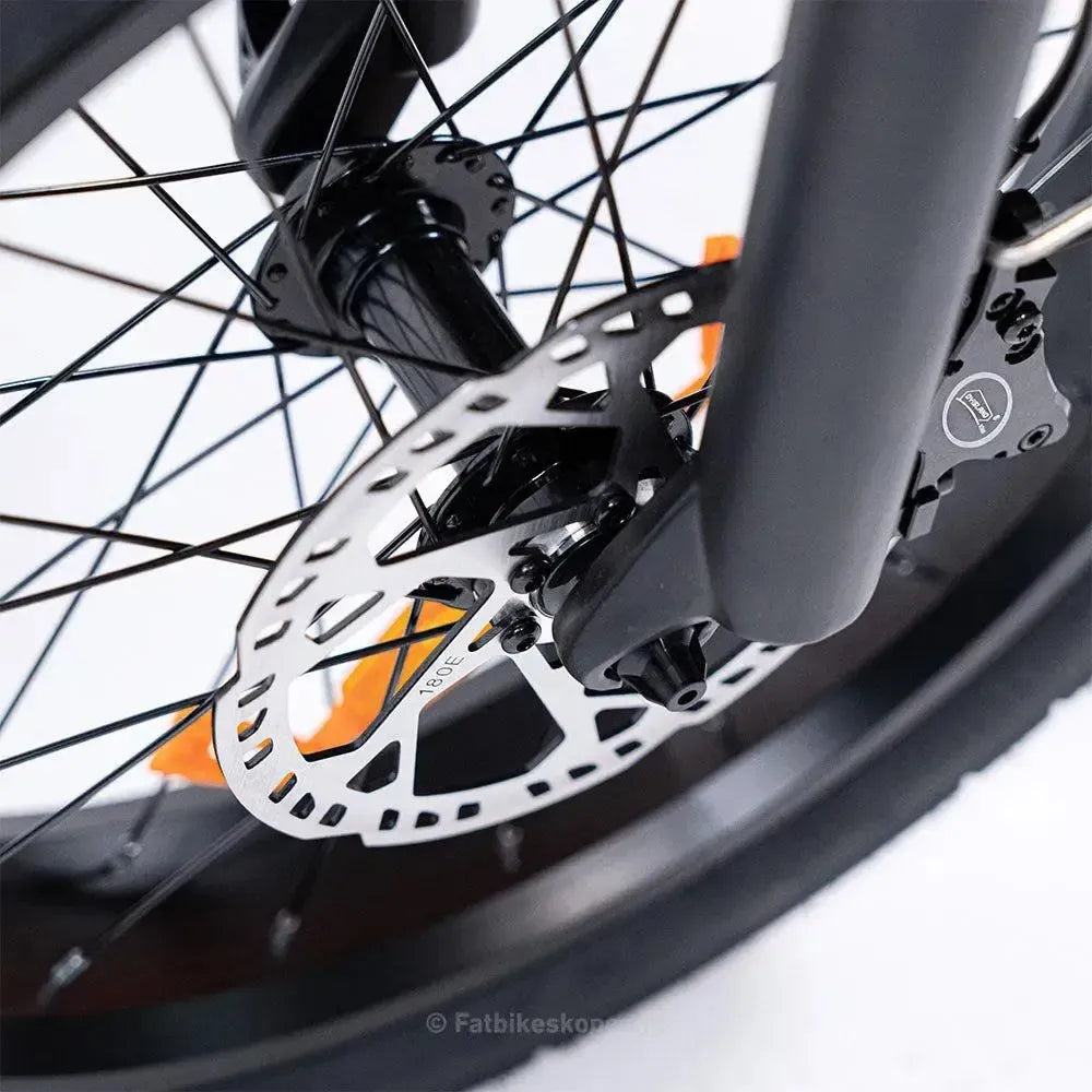 EB8 - Fatbike - Grigio