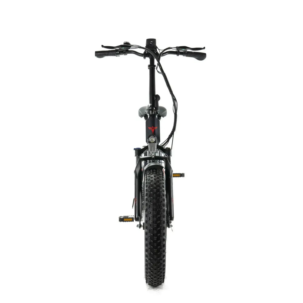 ENGWE EP 2 Pro - Bicicletta elettrica pieghevole - Nero