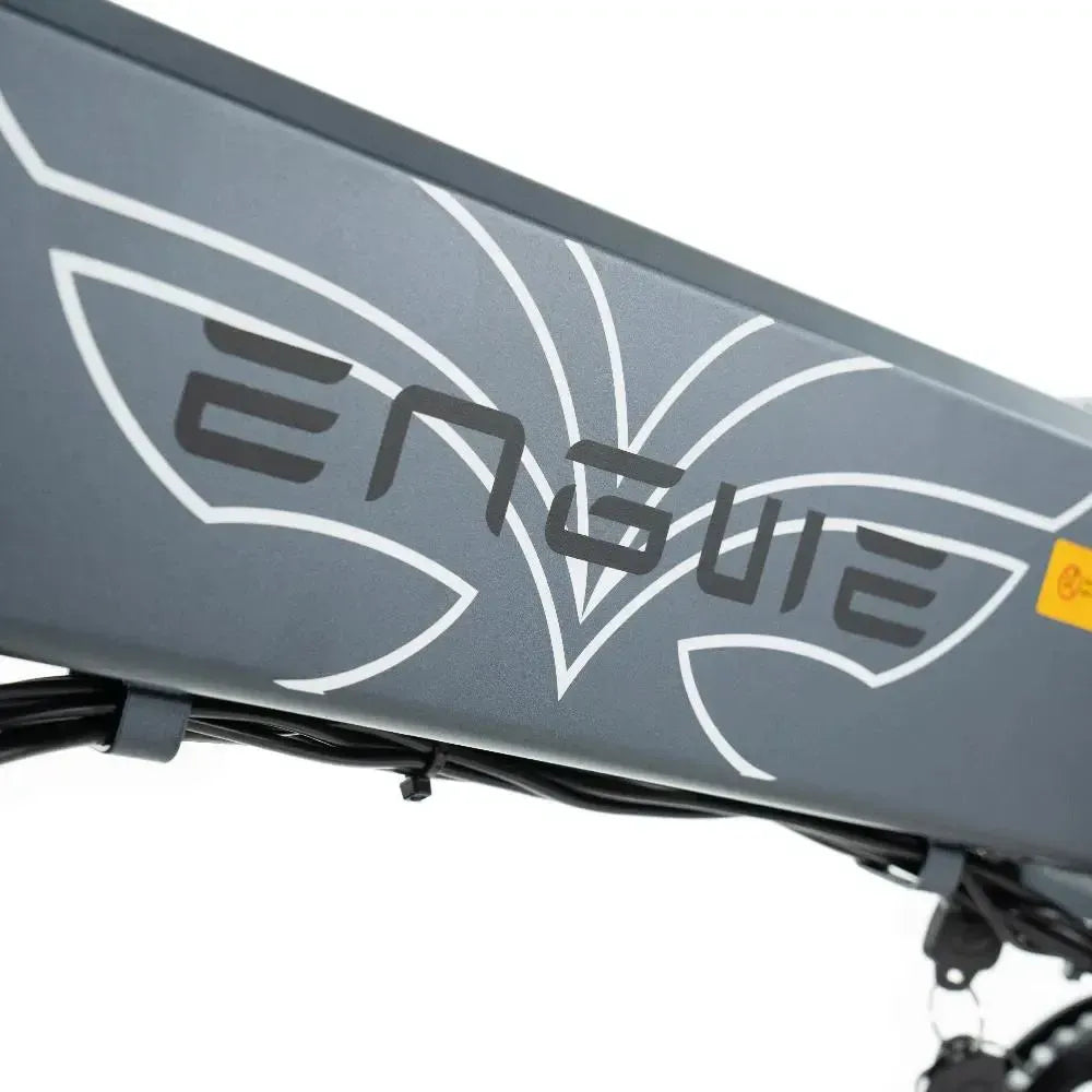 ENGWE EP 2 Pro - Grigio