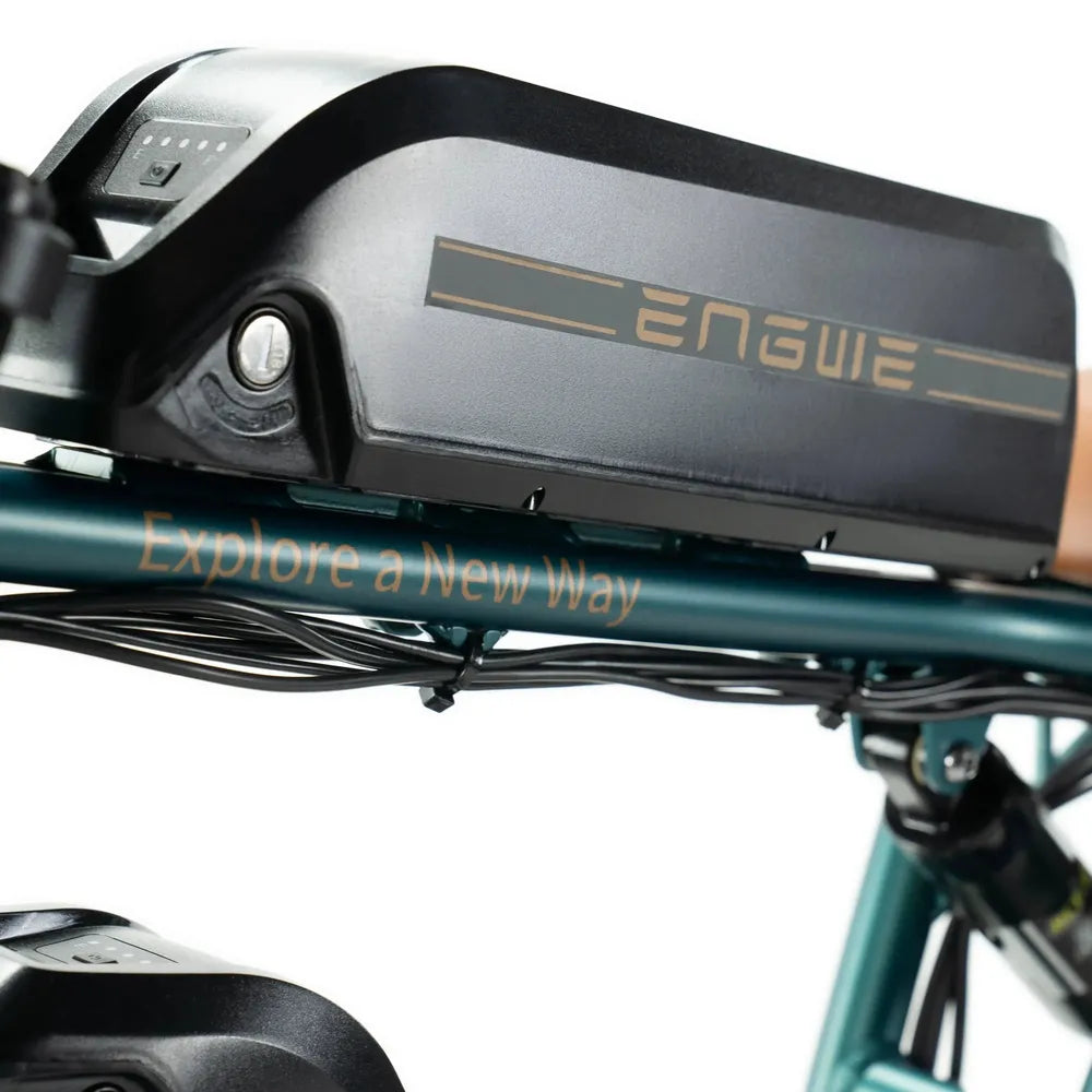 ENGWE M20 - Doppia Batteria - Verde