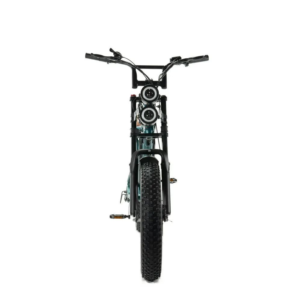 ENGWE M20 - Fatbike - Doppia batteria - Verde
