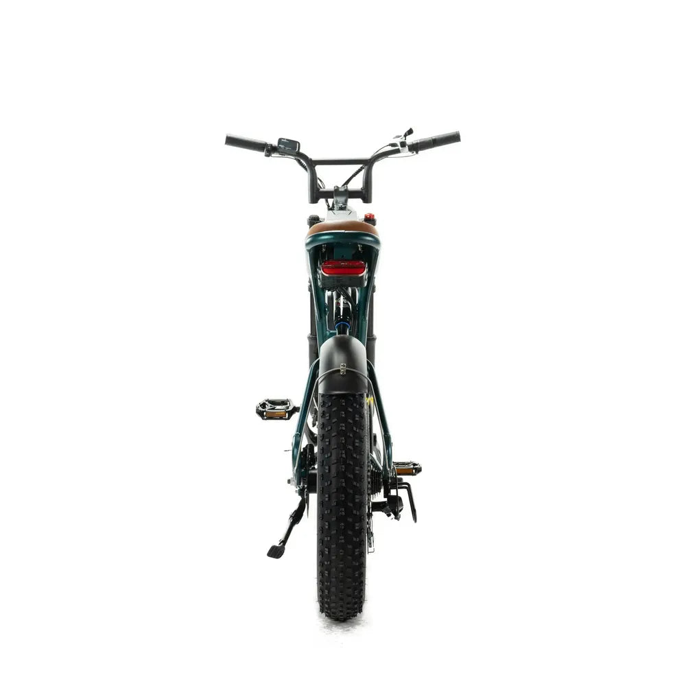 ENGWE M20 - Fatbike - Doppia batteria - Verde