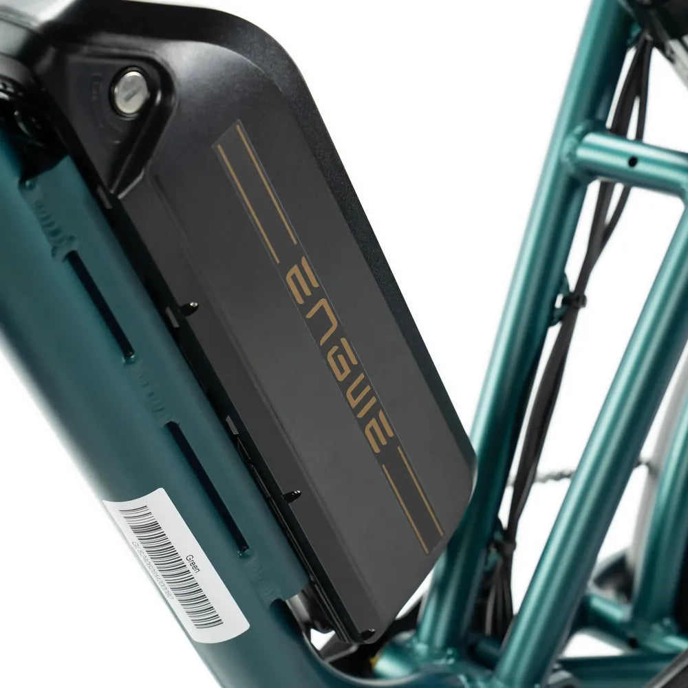 ENGWE M20 - Fatbike - Doppia batteria - Verde