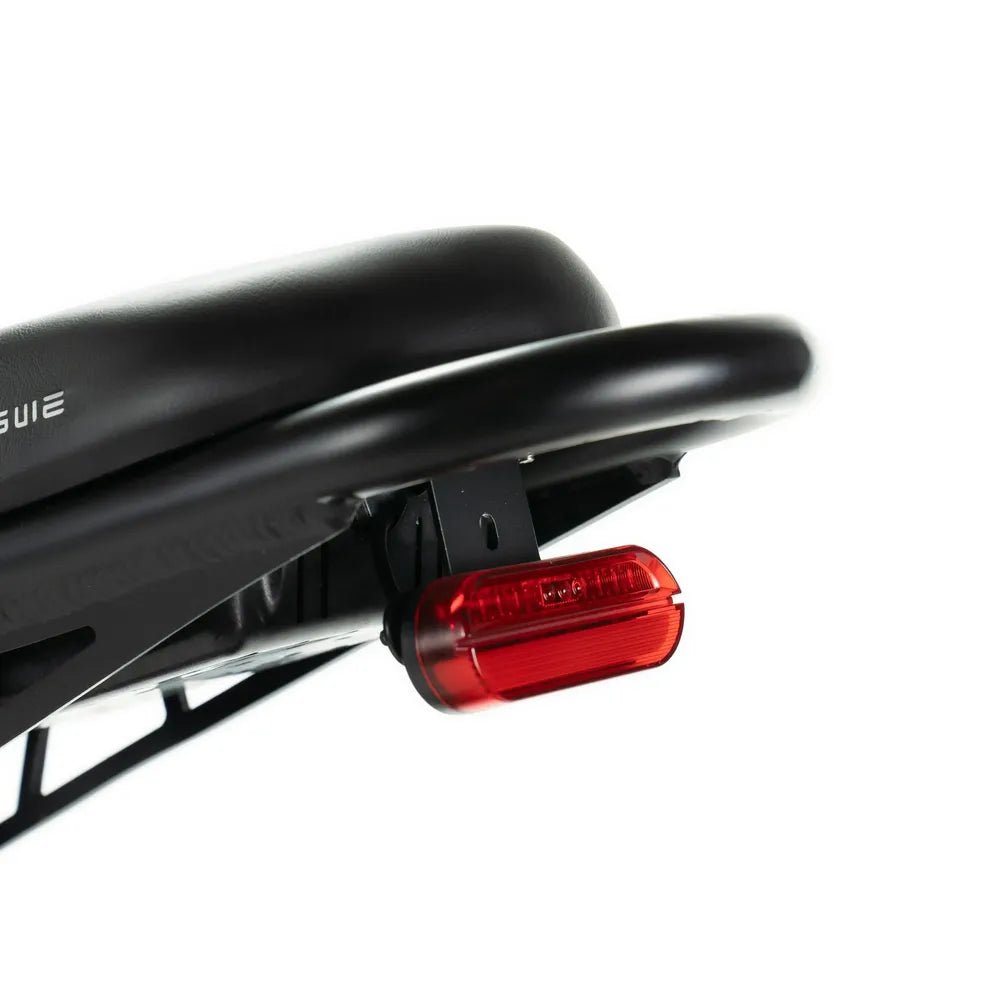 ENGWE M20 - Fatbike - Doppia batteria - Nero