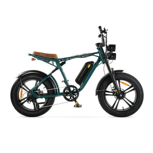 ENGWE M20 - Verde