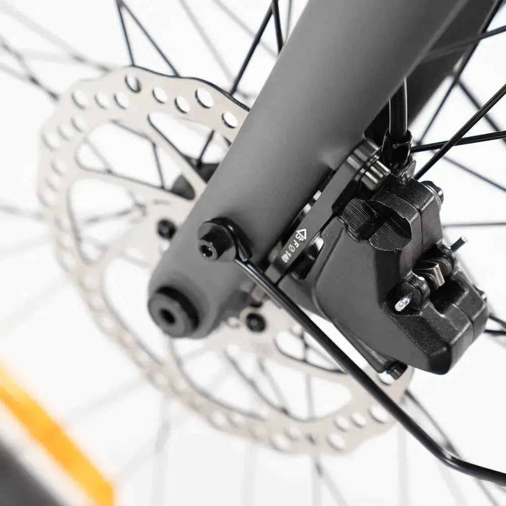 ENGWE Mapfour N1 Pro - Grigio