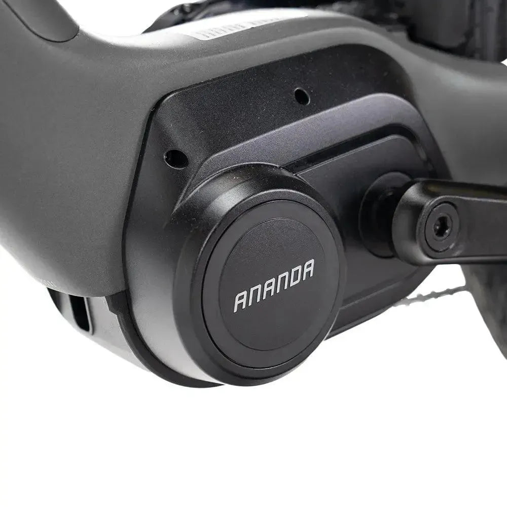 ENGWE Mapfour N1 Pro - Grigio