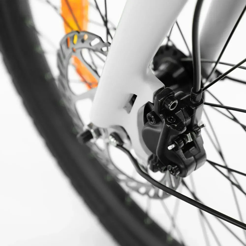 ENGWE P20 - Bicicletta elettrica pieghevole - Nero