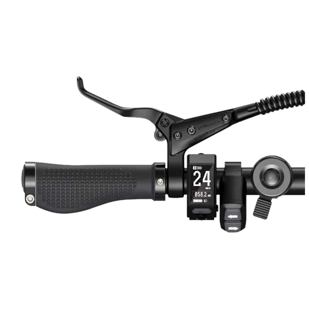 ENGWE P20 - Bicicletta elettrica pieghevole - Nero