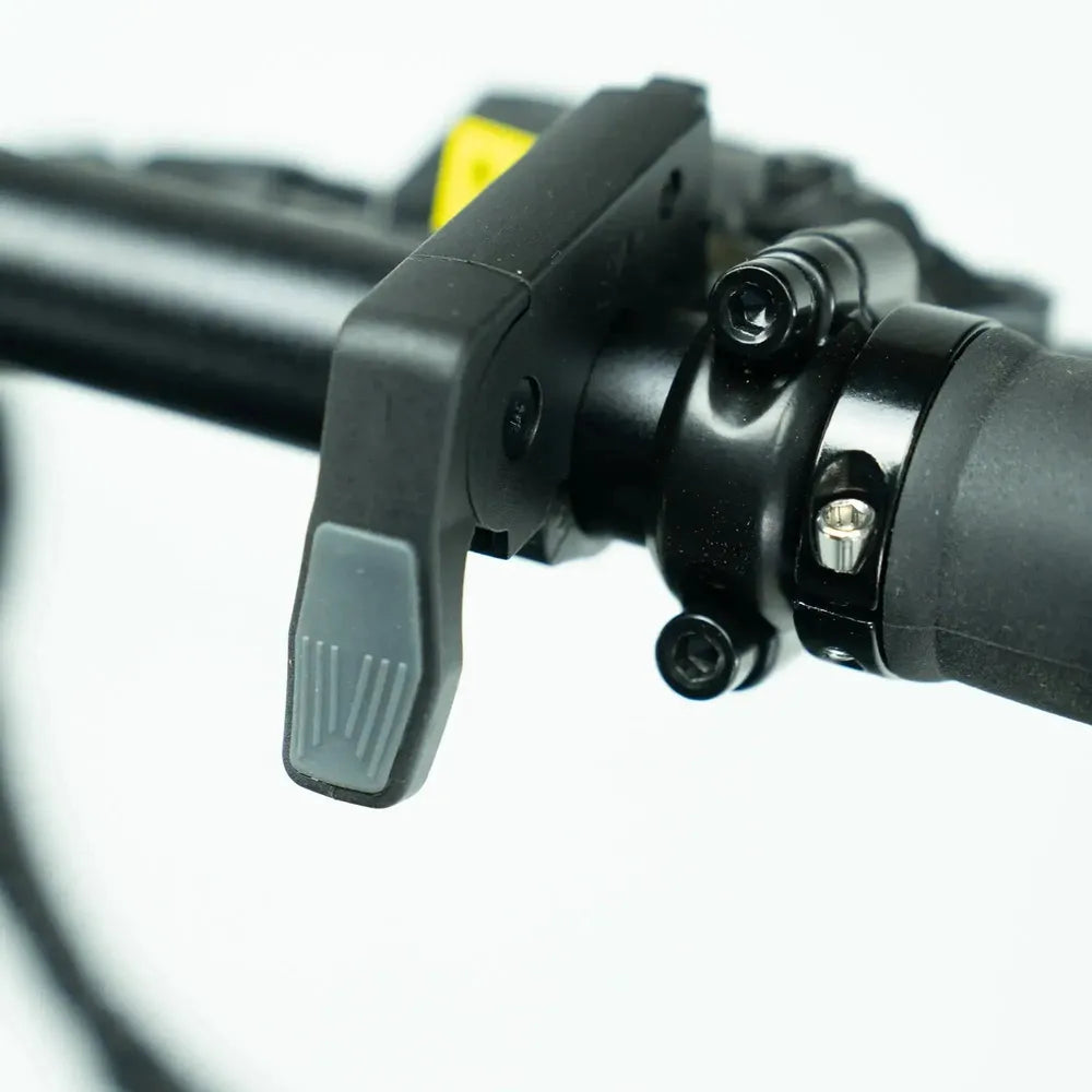 ENGWE P20 - Bicicletta elettrica pieghevole - Nero