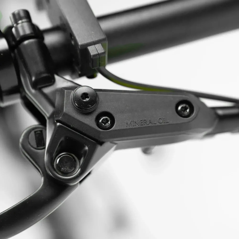 ENGWE P20 - Bicicletta elettrica pieghevole - Nero