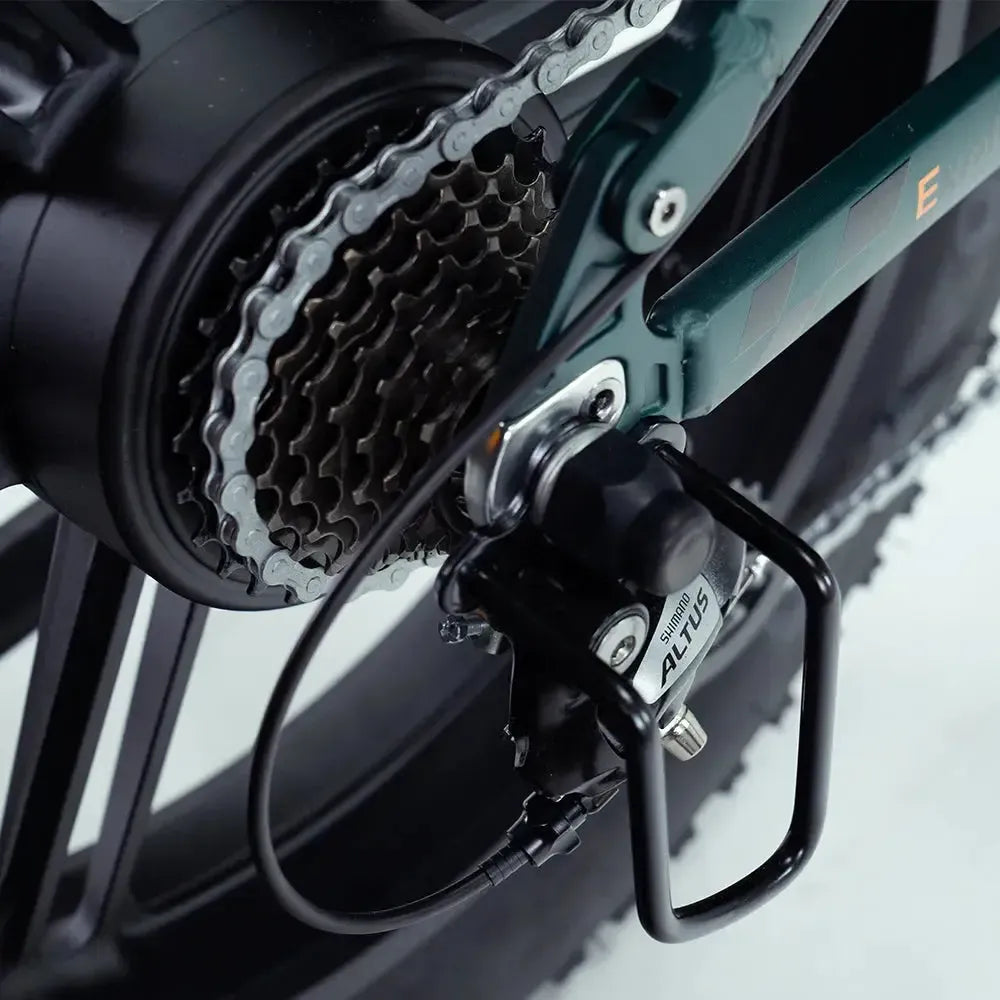 Engwe Engine Pro 2.0 - Bicicletta elettrica pieghevole - Verde
