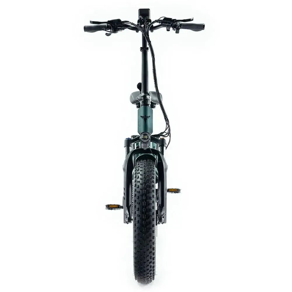 Engwe Engine Pro 2.0 - Bicicletta elettrica pieghevole - Verde