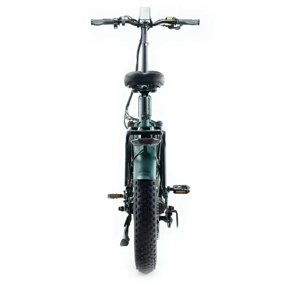 Engwe Engine Pro 2.0 - Bicicletta elettrica pieghevole - Verde