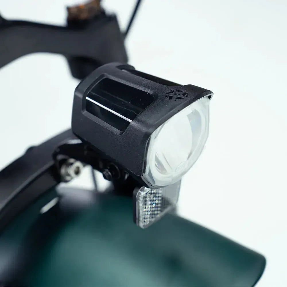 Engwe Engine Pro 2.0 - Bicicletta elettrica pieghevole - Verde