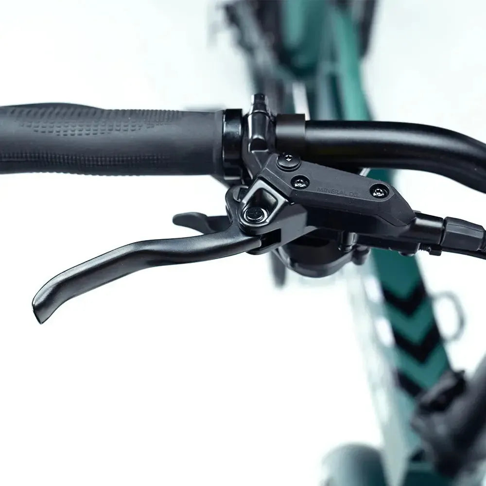 Engwe Engine Pro 2.0 - Bicicletta elettrica pieghevole - Verde